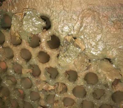 螺桿機(jī)冷凝器清洗 (9)